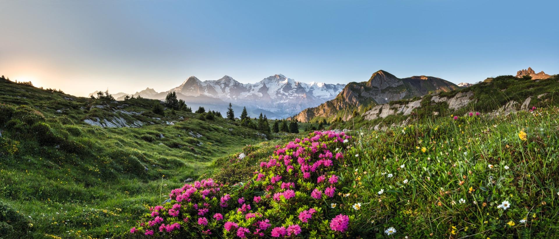 Switzerland 2